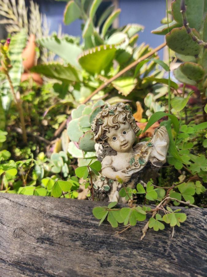 Pousada Linda Flor Bed and Breakfast Alto Paraíso de Goiás Εξωτερικό φωτογραφία